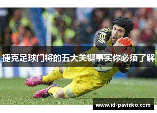 捷克足球门将的五大关键事实你必须了解