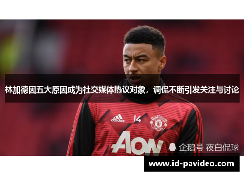 林加德因五大原因成为社交媒体热议对象，调侃不断引发关注与讨论