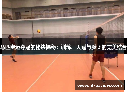 马匹奥运夺冠的秘诀揭秘：训练、天赋与默契的完美结合