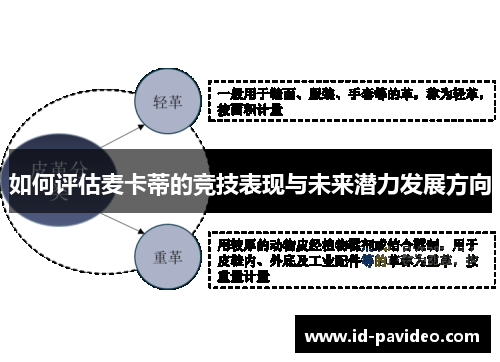 如何评估麦卡蒂的竞技表现与未来潜力发展方向