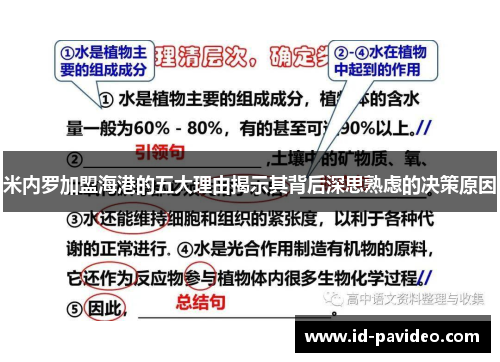 米内罗加盟海港的五大理由揭示其背后深思熟虑的决策原因