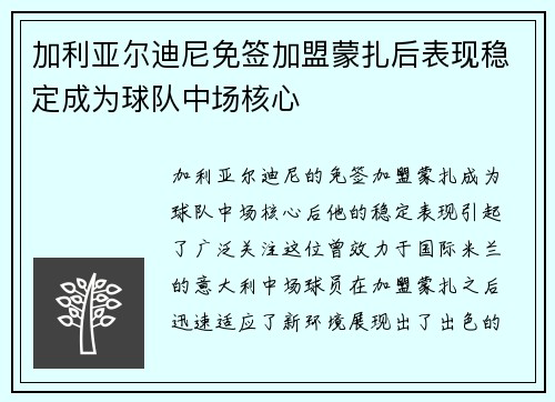 加利亚尔迪尼免签加盟蒙扎后表现稳定成为球队中场核心