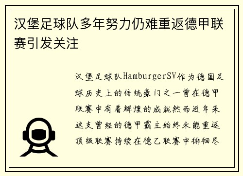 汉堡足球队多年努力仍难重返德甲联赛引发关注