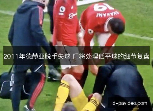 2011年德赫亚脱手失球 门将处理低平球的细节复盘